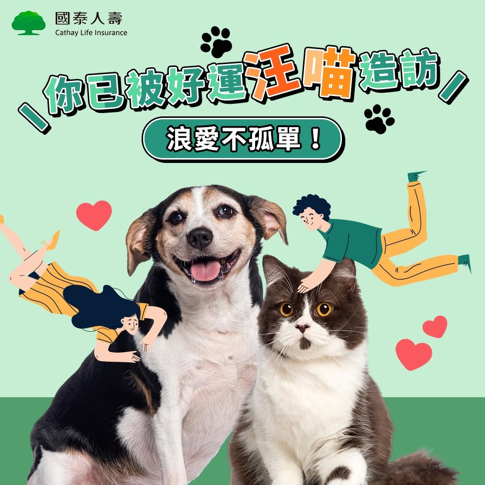 國際流浪動物日案例